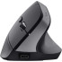 Мышь компьютерная безпроводная Trust Bayo Multidevice Ergonomic Wireless Black 25146_TRUST черная