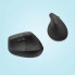 Мышь компьютерная безпроводная Logitech Lift for Business Graphite L910-006494 графитовая