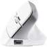Мышь компьютерная безпроводная Trust Bayo Multidevice Ergonomic White 25399_TRUST белая