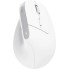 Мышь компьютерная безпроводная Trust Bayo Multidevice Ergonomic White 25399_TRUST белая