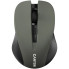 Мышь компьютерная безпроводная Canyon CNE-CMSW1G Gray серая