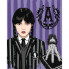 Картина по номерам с алмазной мозаикой Santi Wednesday Gothic duo 954993 40х50 см