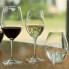 Бокал для белого вина Riedel Degustatione 0489/0 560 мл