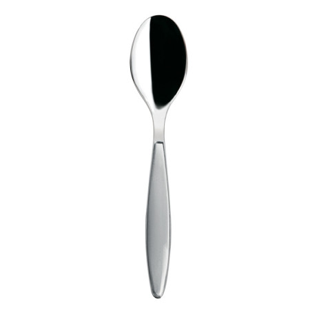 Ложка столовая Guzzini 23000192 20.5 см