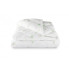 Одеяло двуспальное ТЕП Dream Collection Bamboo 1-04218_00000 210х180 см