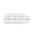 Одеяло евро ТЕП Cote Blanc Silk 1-00187-00000 210х200 см