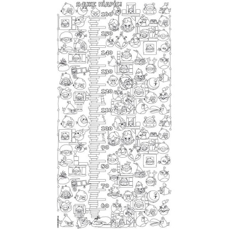 Обои-раскраски Ростомер Angry Birds 60*120 C-120008