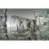 Набор стаканов для виски Bohemia Zig Zag 21804/59418/300 300 мл 6 шт