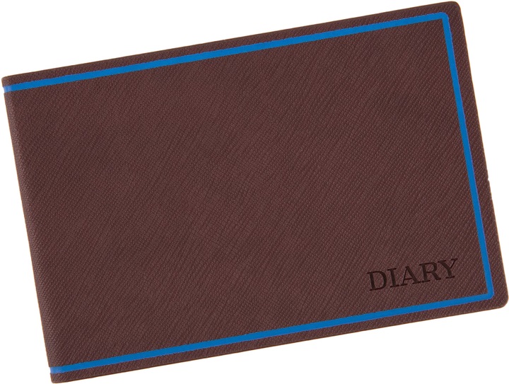 Деловая записная книжка-еженедельник Leo Planner Cioccolato 252570 128 листов 10х15 см коричневая