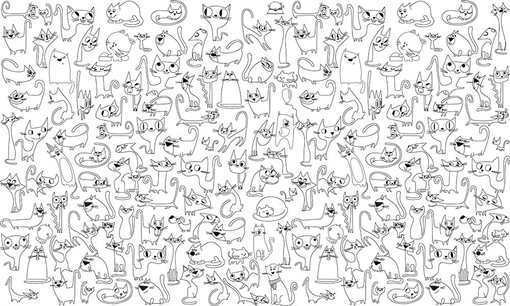 Обои-раскраски Коты 60*100 C-100013