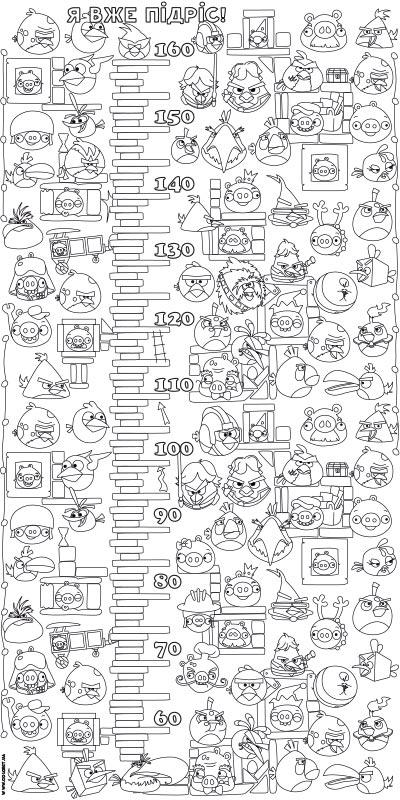 Обои-раскраски Ростомер Angry Birds 60*120 C-120008