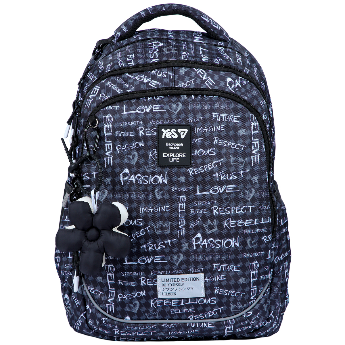 Рюкзак школьный YES TS-59M Passion 550390 19.5 л