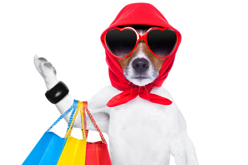 Зоотовары